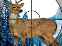 Stag Hunter image