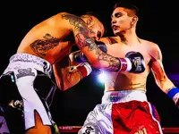 Boxing Champions Fight image