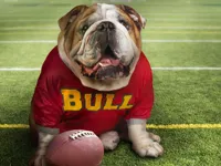Funny Doggy Puzzle image